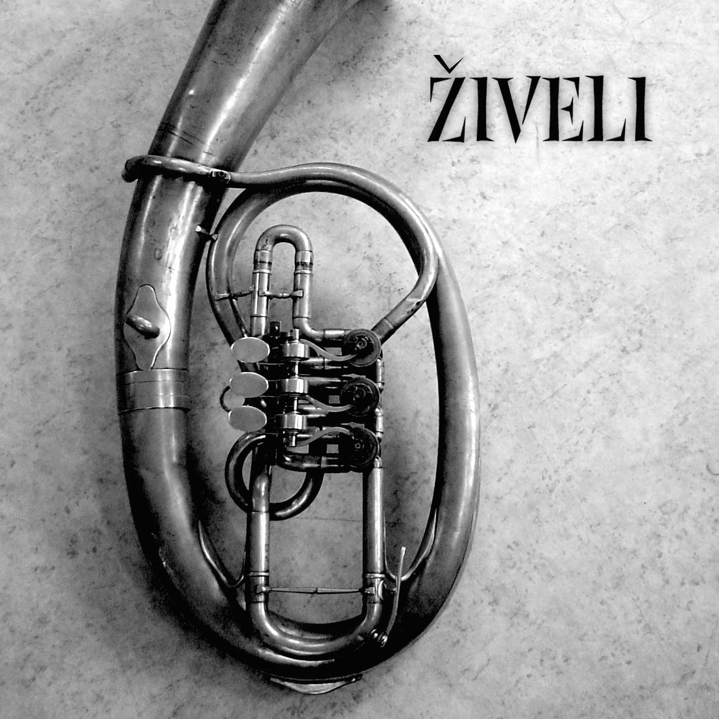 Ziveli 2006